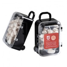 Carry-On Case with Chewy Mints 50g
